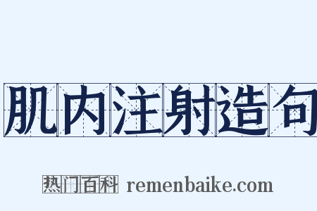 肌内注射造句是什么意思的图片
